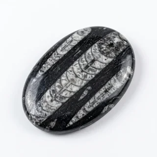 ارتوسراز (چشم شیطان)