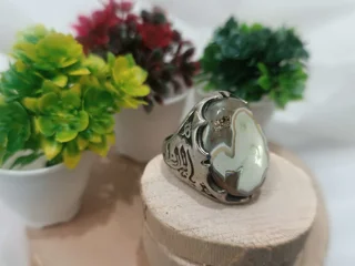 انگشتر عقیق سلیمانی هندی مصور و معدنی