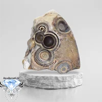 سنگ سلطانی باباقوری فسیلی خاص و کمنظیر S91