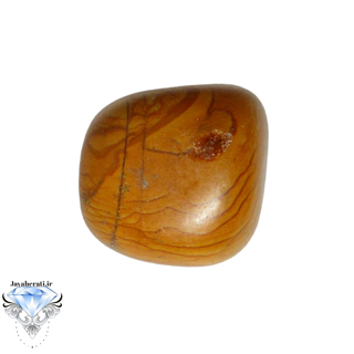 سنگ جاسپرچوبی طبیعی وزیبا wj12