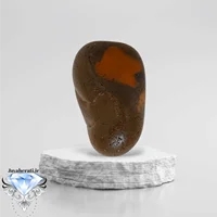 راف سلطانی مصری S72