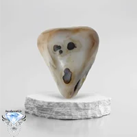 راف عقیق سلیمانی فعال مصور6تصویر کلکسیونی