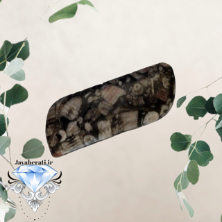 مدال فسیل کرینوئید طبیعی وارزشمند