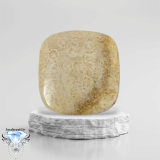 نگین فسیل مرجان طبیعی و بسیارزیبا