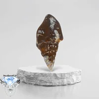 عرج معقق اصیل و کمیاب