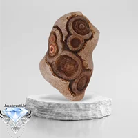 سنگ عقیق باباقوری چشم فسیلی کمنظیر S89