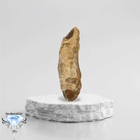 عرج سلطانی شکل انگشت بینظیرو کلکسیونی