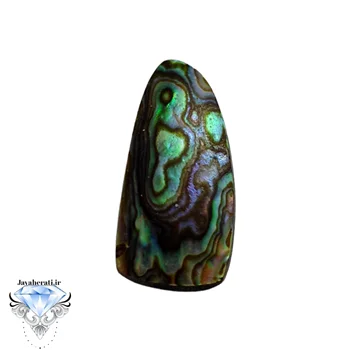 نگین صدف آبالون طبیعی و خیره کننده