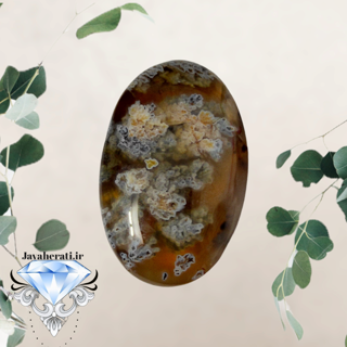 مدال شجربهاری خارق العاده و بینظیر