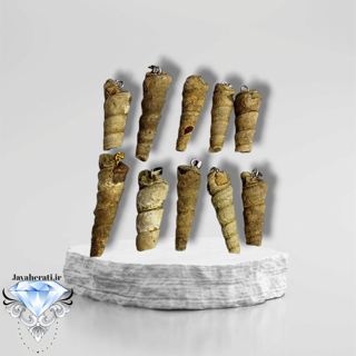 آویز فسیل عرج کوهی (ارسال بصورت رندوم)