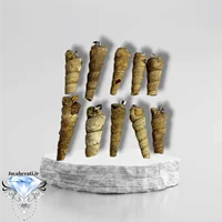 آویز فسیل عرج کوهی (ارسال بصورت رندوم)