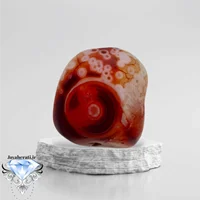 راف عقیق باباقوری سرخ چشم گاوی کلکسیونی