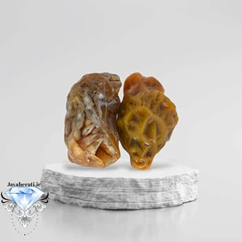 جفت زوعه اندونزی خاص و کمیاب Z16