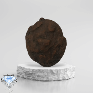 راف هبهاب اصیل و ارزشمند