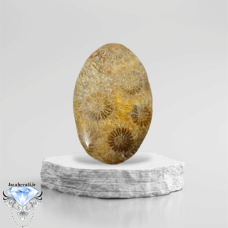 نگین فسیل مرجان طبیعی اندونزی