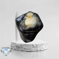 راف عقیق سلطانی مصور جوجه فعال وبینظیر