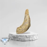 عرج سلطانی حجازی معدنی و ارزشمند