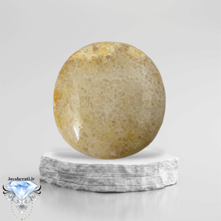 نگین فسیل مرجان طبیعی و بسیارزیبا