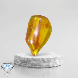 راف کهربای طبیعی لهستان