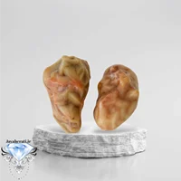 جفت زوعه خاص و کمیاب Z13