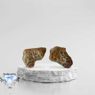 جفت زوعه رگه دار خاص و کمیاب Z15
