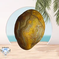 راف عقیق سلطانی لامه دار خوش طبع وارزشمند