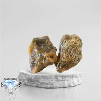 جفت زوعه خاص و درشت Z20