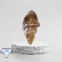 عرج معقق(آگاتیزه) اصیل و کمیاب