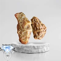 جفت زوعه خاص و درشت Z19