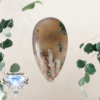 مدال شجربهاری خارق العاده و بینظیر